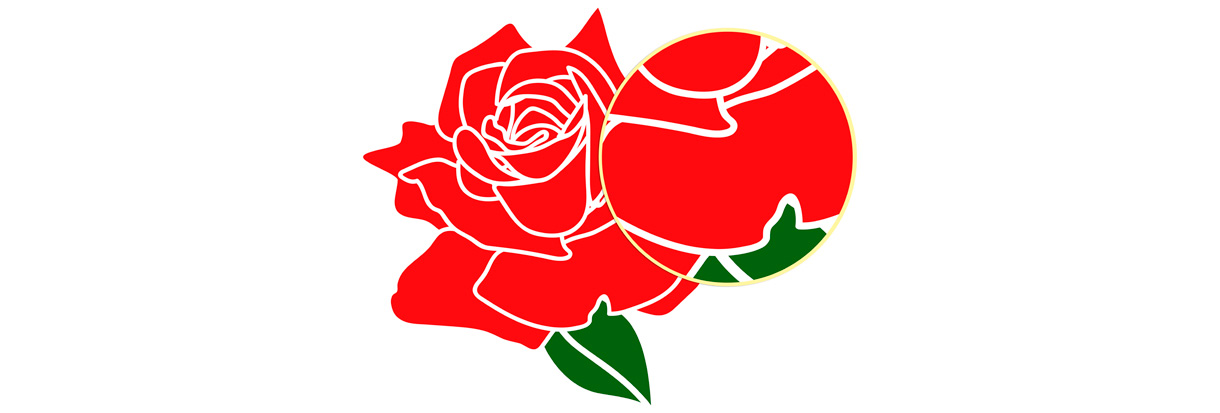 Imagem Vetorial-representação vetorial de uma rosa vermelha 