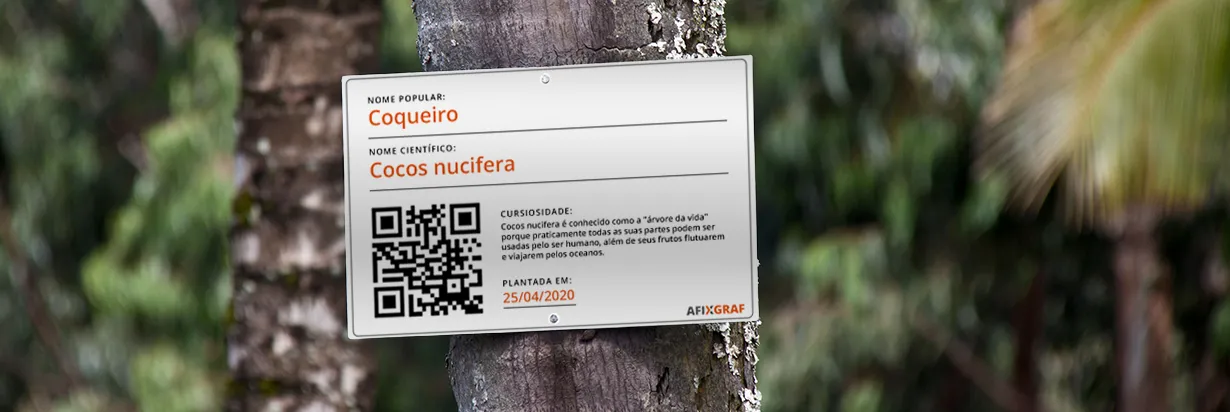 Placa botânica em alumínio em coqueiro | Afixgraf